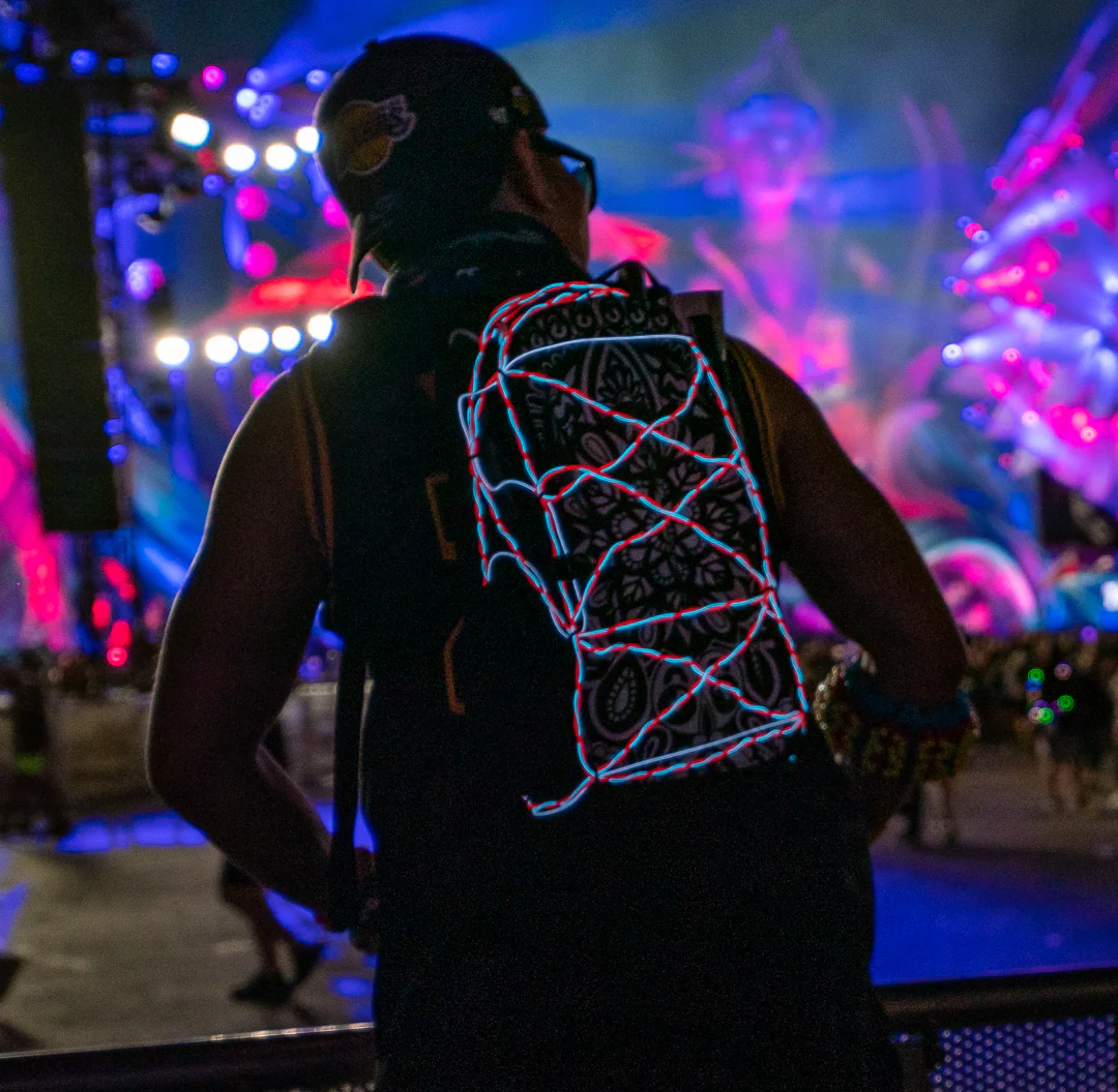 Individual Lightshow Wires (with Inverter) - Image 4